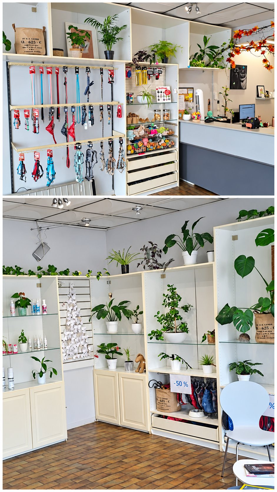 Deux vues de l'intérieur d'une boutique pour animaux avec des laisses et harnais accrochés au mur, des étagères blanches garnies de plantes vertes et un comptoir au fond.